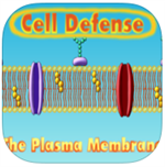 Cell Defense: The Plasma Membrane 