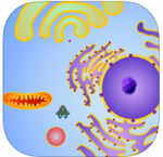 Cell Explorer: The Animal Cell (Free) 